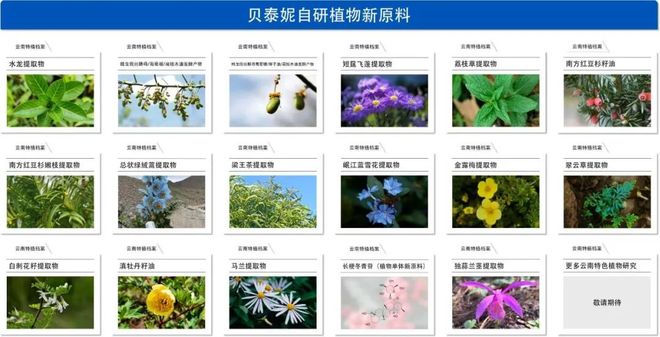 妮“双十一”多品牌协同展现国货韧性不朽情缘登录深耕功效护肤赛道贝泰(图9)