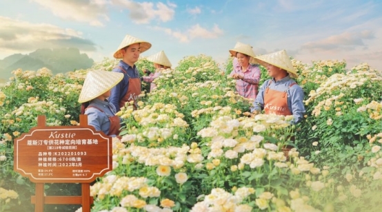 斯汀花瓣沐浴露连续三年全球销量第一不朽情缘电子游戏市场地位证明：蔻(图1)